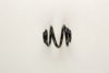 VW 8N0511115G Coil Spring